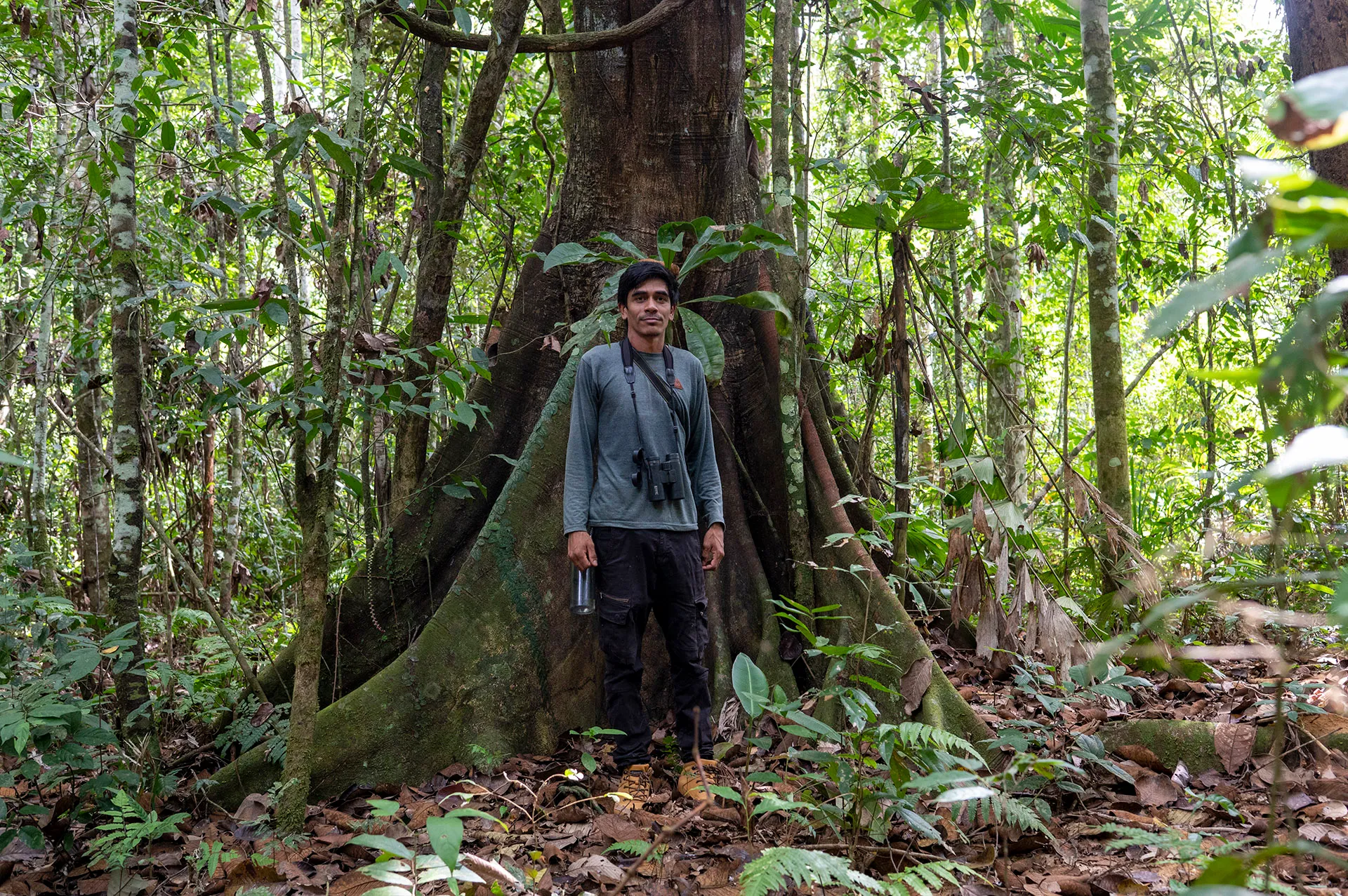 Senda verde Rewilding